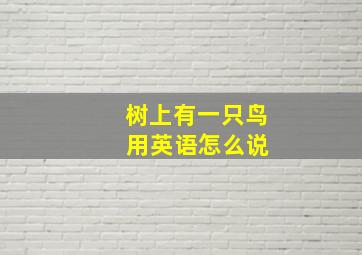 树上有一只鸟 用英语怎么说